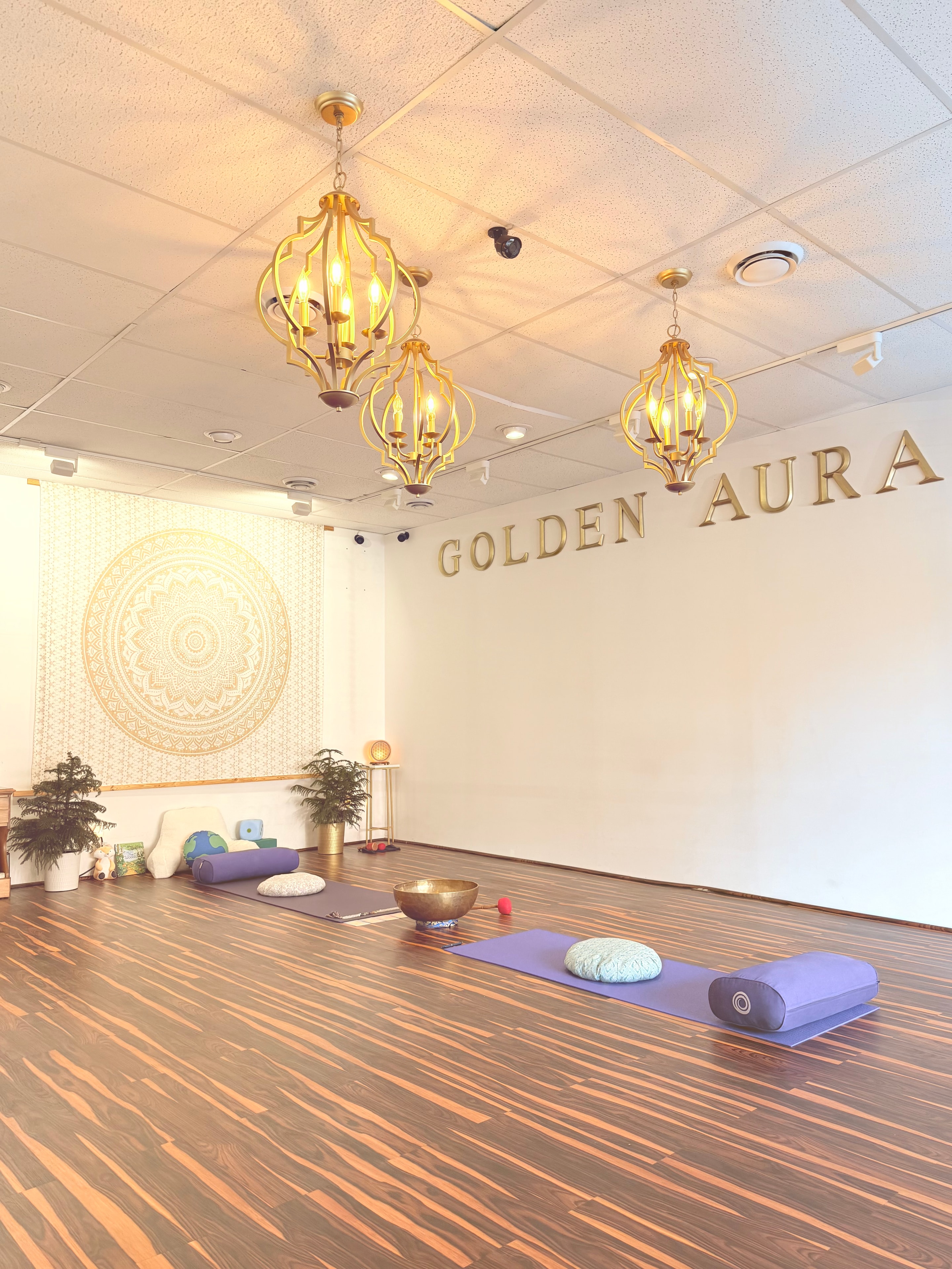 Peaceful yoga therapy practice space